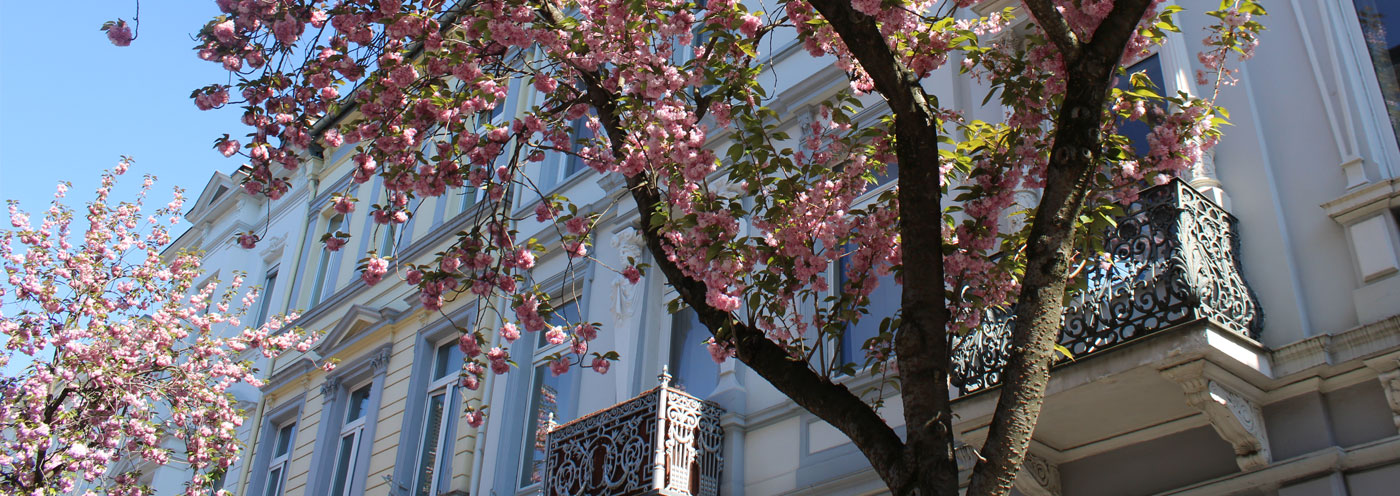 Wohnhaus in Bonn